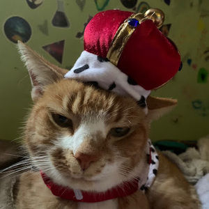 Meet your Posher, Alana